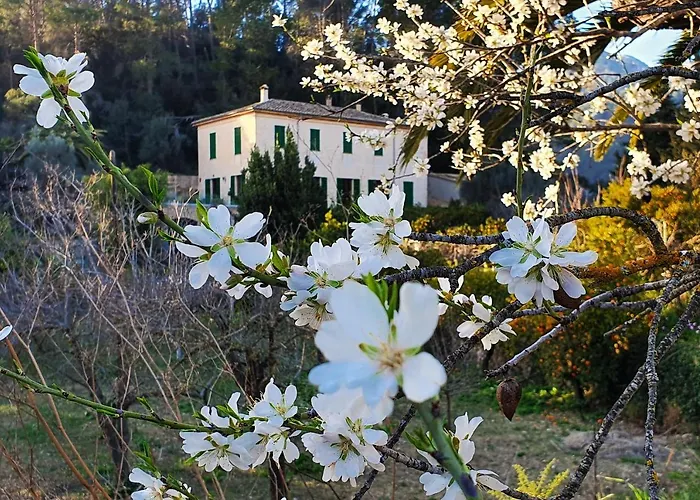 Agroturisme Finca Sa Maniga