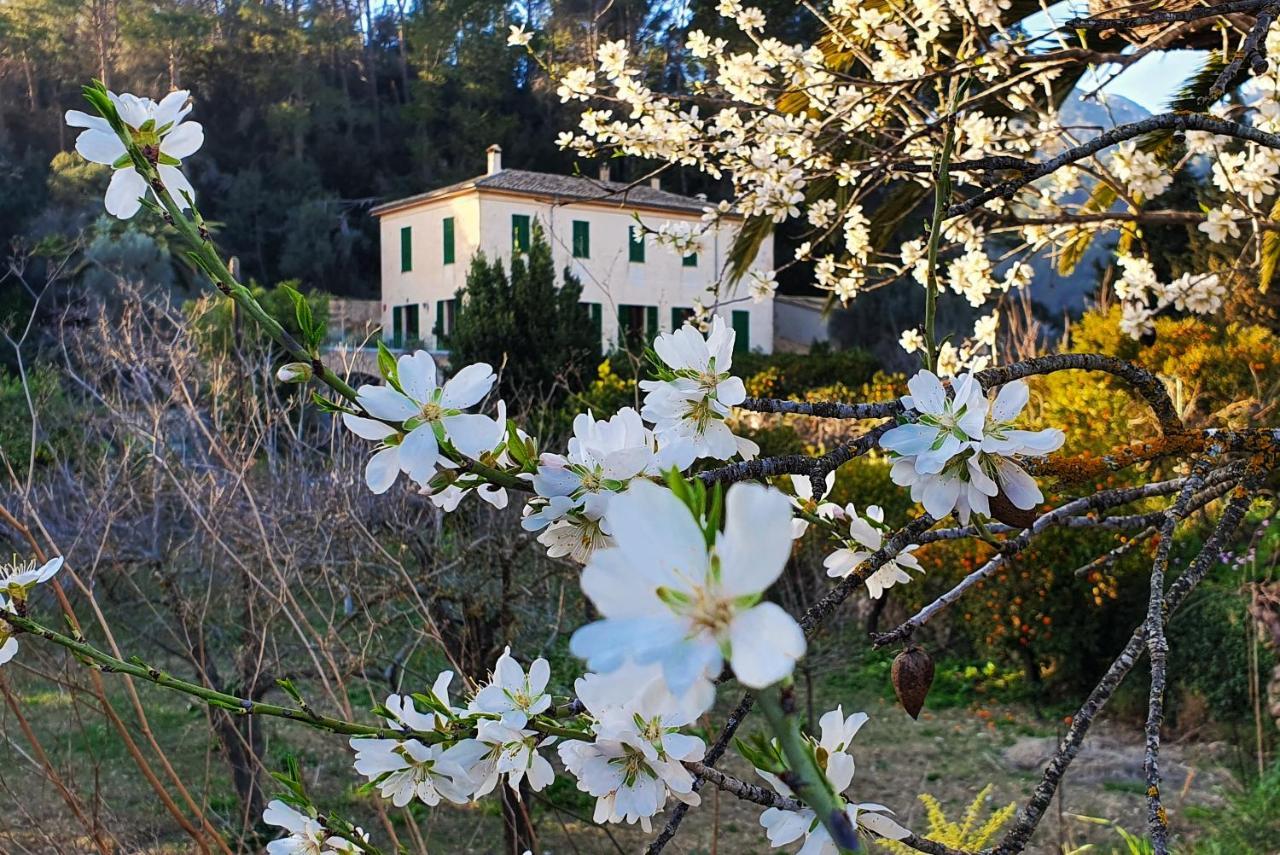 Sa Maniga Country house